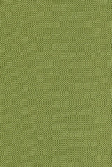 Olive Green Polo T-Shirt for Women